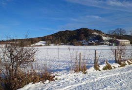 Winter in Schliersee