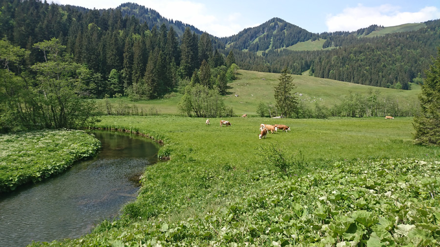 Wandern in der Region Schliersee